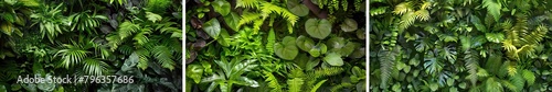 Green plants background collection. Generative ai design art concept.