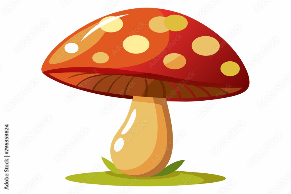 Mushroom vector white background. Mushroom vector white background.