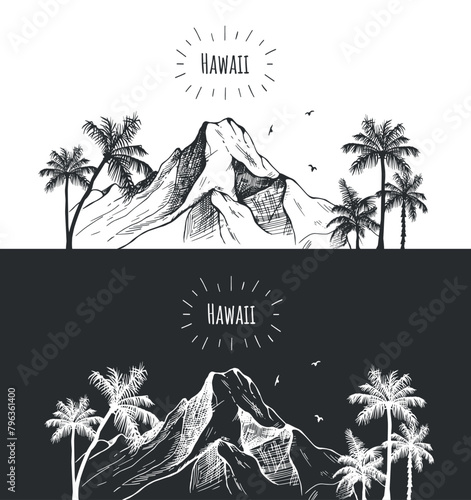 hand drawing of mountains and palm trees on black and white background vector. hawaii vector sketch