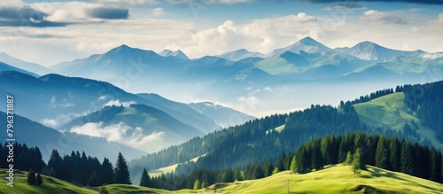 Mountains with green grass and trees
