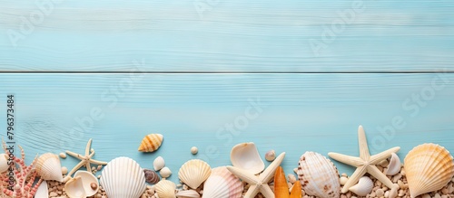 Group of seashells on blue wood background