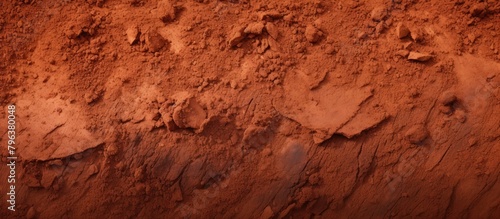 A bird track on close-up dirt wall