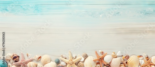 Beach shells assortment, seashells frame with space for text