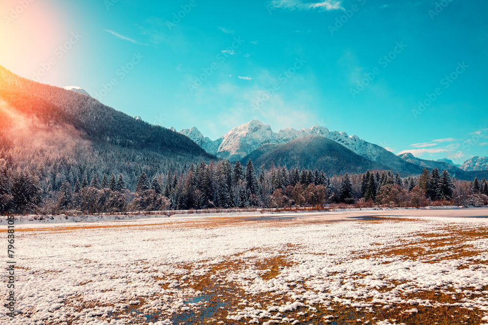 Snow-covered spruce trees on a mountainside on a foggy winter morning. Fusine Confine, Udine, Italy Snow-covered spruce trees on a mountainside on a foggy winter morning. Fusine Confine, Udine, Italy