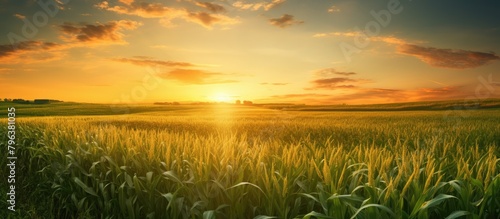 Tractor on rural road at sunrise