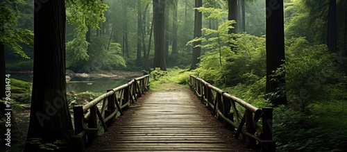 Wooden bridge in the forest photo