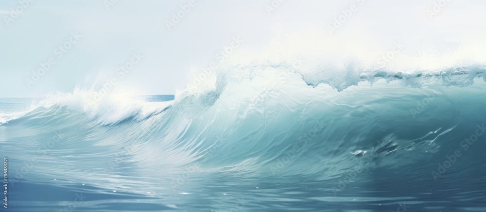 Surfer catching wave ocean sunny day Surfer catching wave ocean sunny day