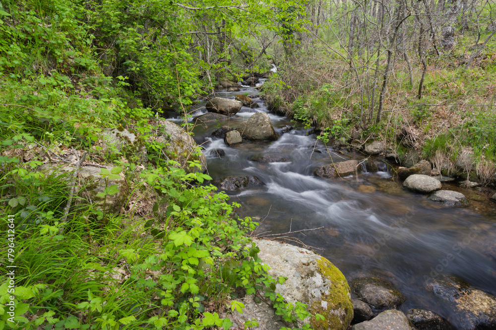view of a mountain stream in spring in the sierra de guadarrama mountains view of a mountain stream in spring in the sierra de guadarrama mountains