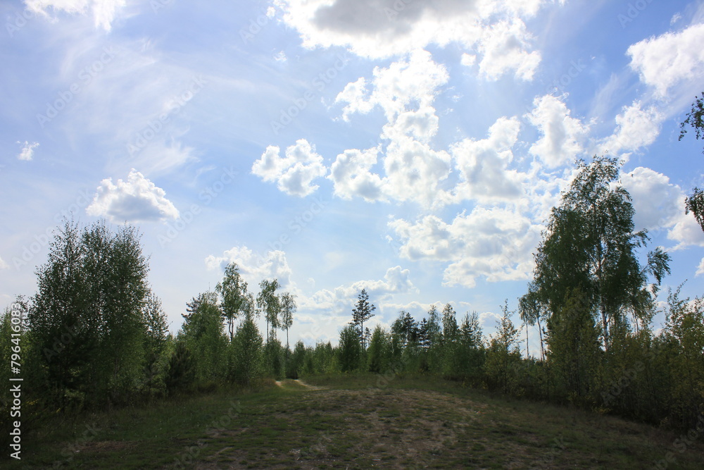 spring, summer, nature, sky, clouds, trees