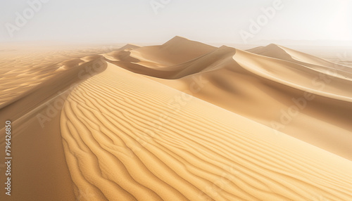 sand dunes in the desert