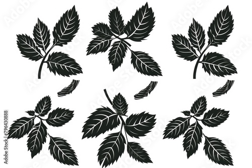 Black leaves on a plain white background. Suitable for various design projects