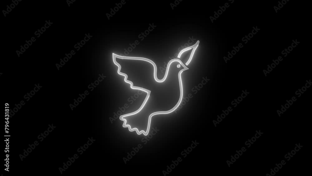 Dove icon glowing neon white color animation black background Dove icon glowing neon white color animation black background