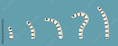 Zebra garden eel cute on a blue background, vector illustration.
