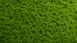 3D rendering of grass texture