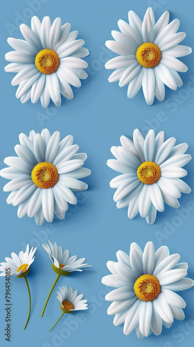 White daisies are aesthetically placed with one inverted to break the symmetry on a soft blue background © Renata