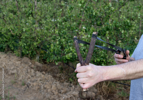 Slingshot aimed and pulled back against wrist, with hands - in forest setting. slingshot ready to fire