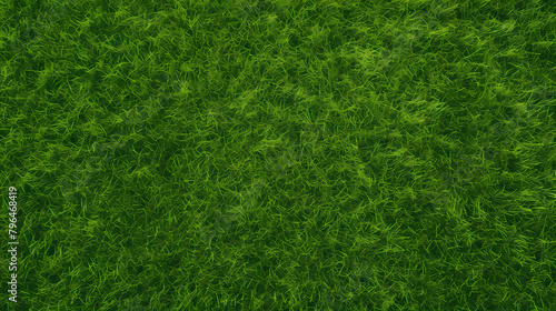 Wallpaper Mural 3D rendering of grass texture Torontodigital.ca