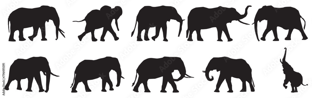 Fototapeta premium Elephant silhouettes set. Different poses of Africans or jungle elephant vector illustration.