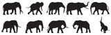 Elephant silhouettes set. Different poses of Africans or jungle elephant vector illustration.