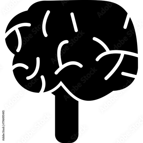 Cerebellum Icon