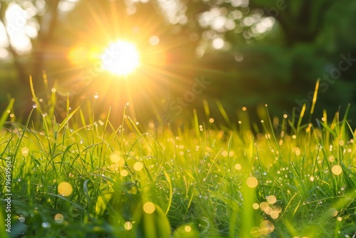 A vibrant image capturing the warm sun rays as they pierce through the dewy grass  creating a magical bokeh effect