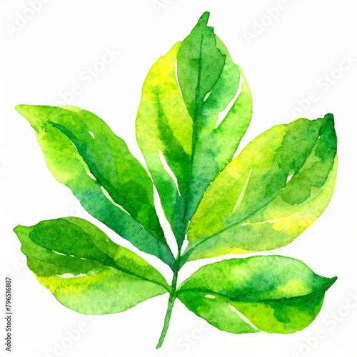 Zielony namalowany liść gałązka