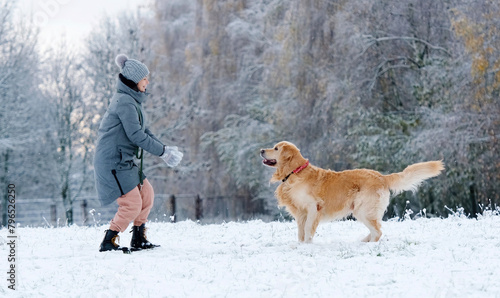 Adorable Golden Retriever Dog Catching A Snow Ball Jumping Outdoors In Winter
