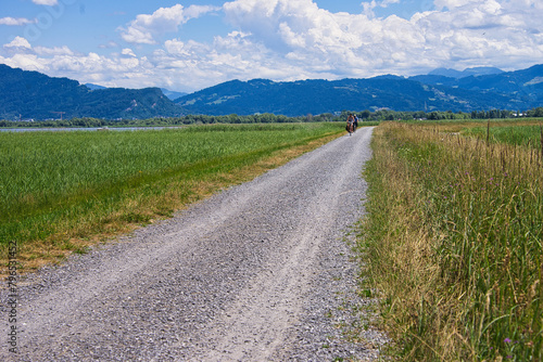 cycle path along Lake Constance near Bregenz (Austria)