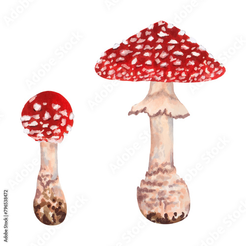 Poisonous fly agaric mushroom with a red hood strewn with white dots. Illustration with watercolor  and markers. Hand drawn isolated art. Botanical magical forest plant. Fantastic atmosphere.