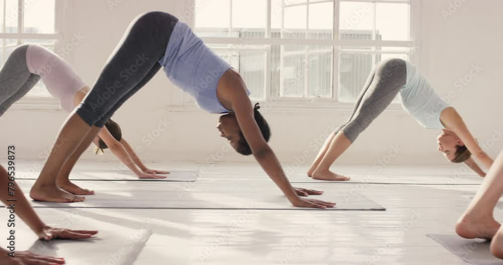 Woman, diversity and stretching in yoga class for fitness, zen or training in pilates, spiritual wellness or pose at studio. Group of young female people or yogi team in warm up or balance at gym Woman, diversity and stretching in yoga class for fitness, zen or training in pilates, spiritual wellness or pose at studio. Group of young female people or yogi team in warm up or balance at gym