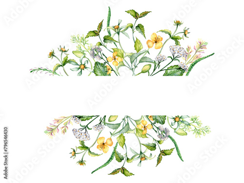 Frame of wild medicinal plant, herbs watercolor illustration isolated on white background. Achillea millefolium, nettle in sketch. Bur marigold, celandine flower hand drawn. Design for label, package