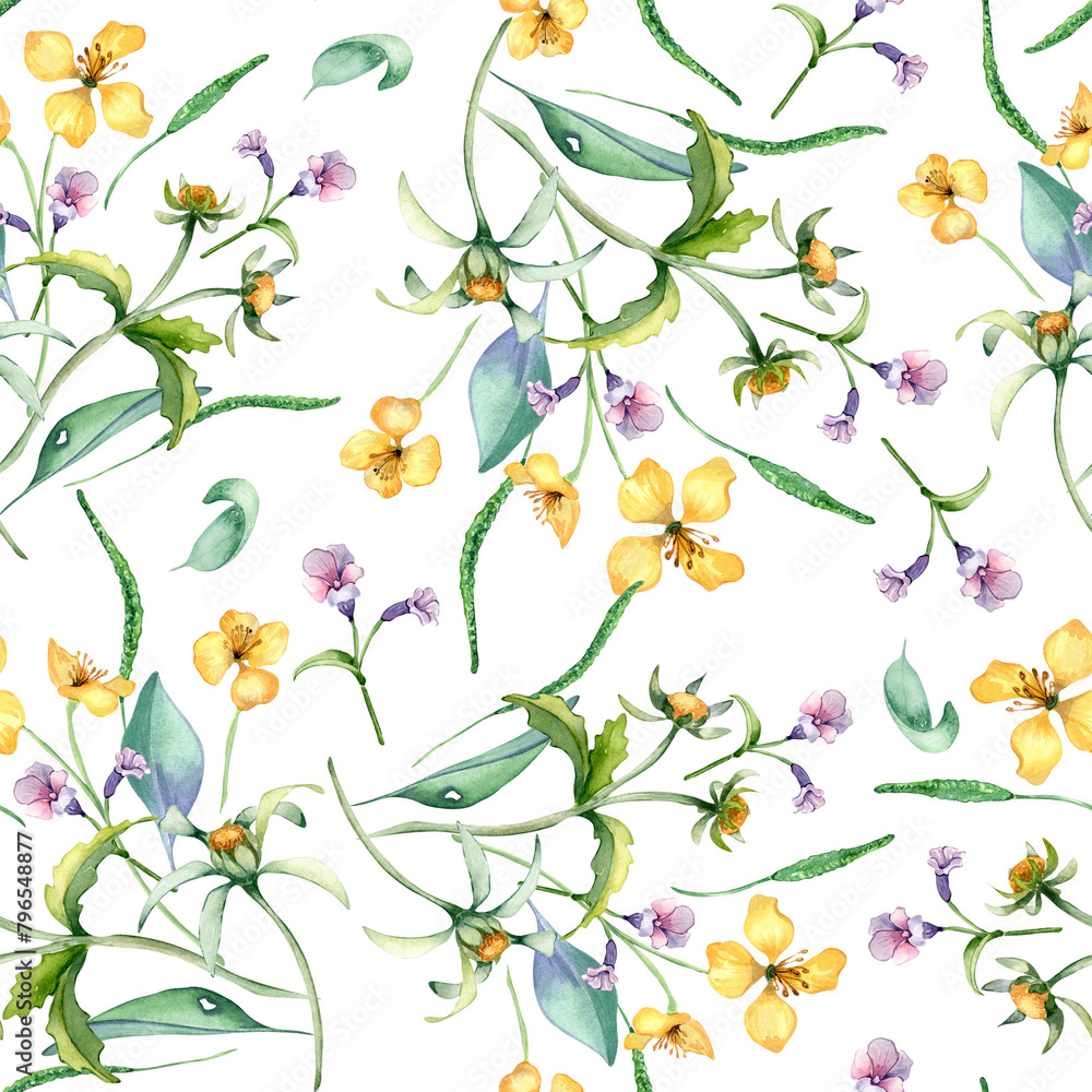 Yellow, blue meadow wild flowers in watercolor seamless pattern isolated on white. Celandine and bur marigold medicinal plant in sketch. Floral print hand drawn. Design for package, textile, wrapping