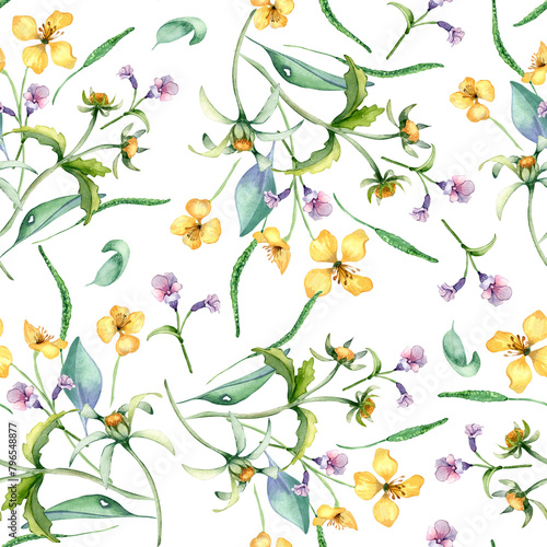 Wallpaper Mural Yellow, blue meadow wild flowers in watercolor seamless pattern isolated on white. Celandine and bur marigold medicinal plant in sketch. Floral print hand drawn. Design for package, textile, wrapping Torontodigital.ca