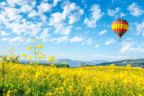 balloon in the sky