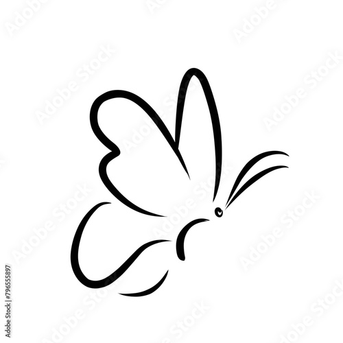 Beauty Butterfly Vector icon