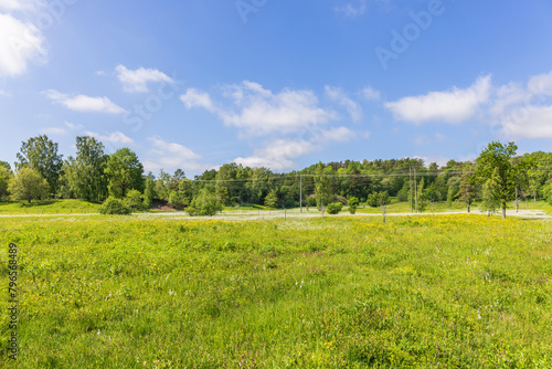 Meadow landscape view in the summer photo