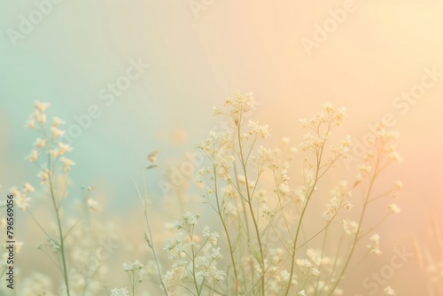 Tiny wildflowers gradient background backgrounds outdoors blossom