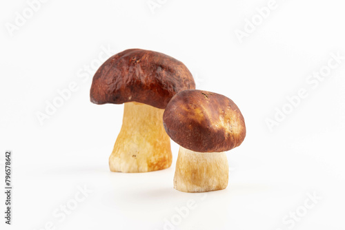 Bay bolete. Edible mushrooms (Boletus badius) isolated on white background with clipping path. Package design element. Wild forest mushrooms