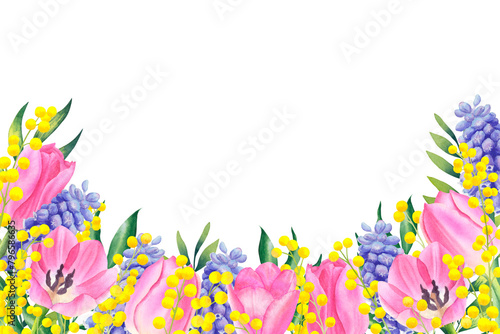 Banner of muscari, pink tulips, mimosa and leaves on a white background. Frame of spring flowers. Hand drawn watercolor botanical illustration. For design, cards, invitations, congratulations