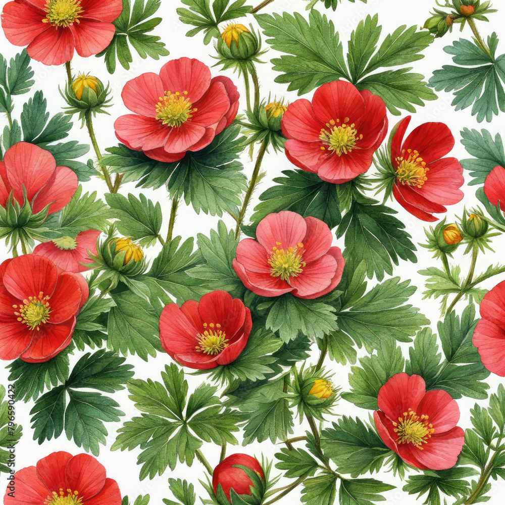 Background with Potentilla anserina with red flowers. Watercolor. - obrazy, fototapety, plakaty 