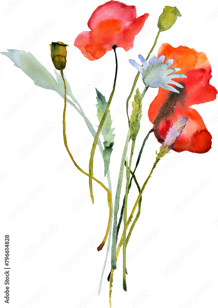 Watercolor bouquet of wild flowers, png with transparent background. Perfectly for poster, card design. Mother's Day, Birthday, Valentine's day decoration. Watercolor bouquet of wild flowers, png with transparent background. Perfectly for poster, card design. Mother's Day, Birthday, Valentine's day decoration.