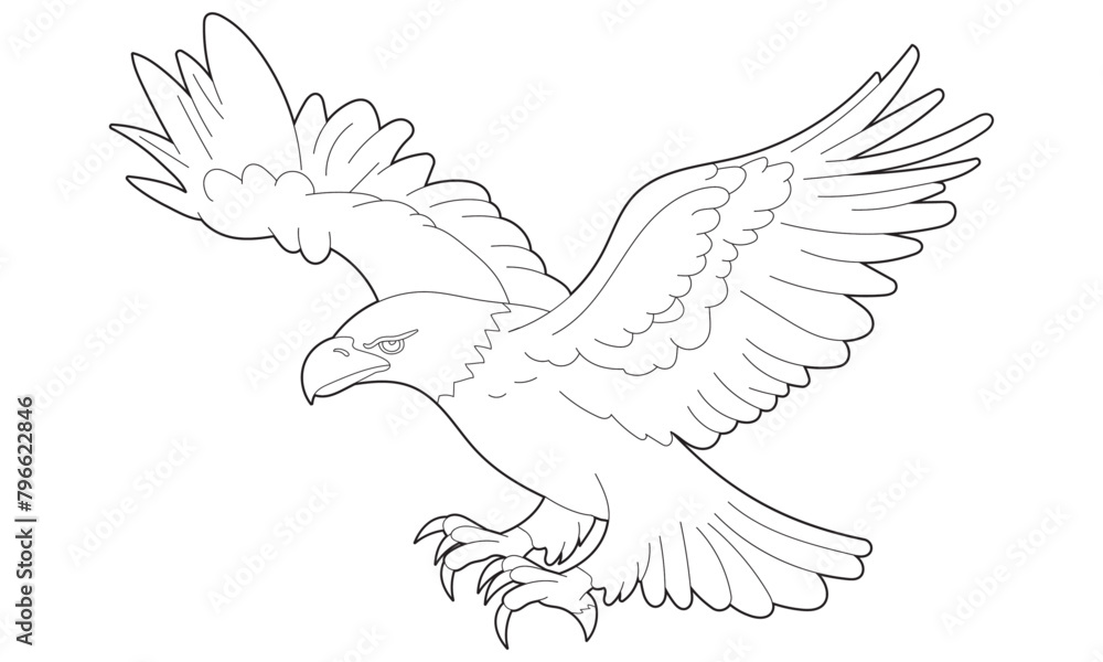 Obraz premium Bald Eagle Colouring Page element, isolated on white