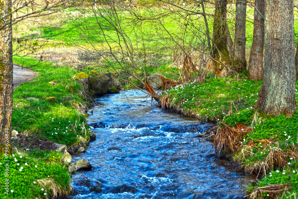 Obraz premium Die Orb im Kurpark von Bad Orb (Hessen, Deutschland)