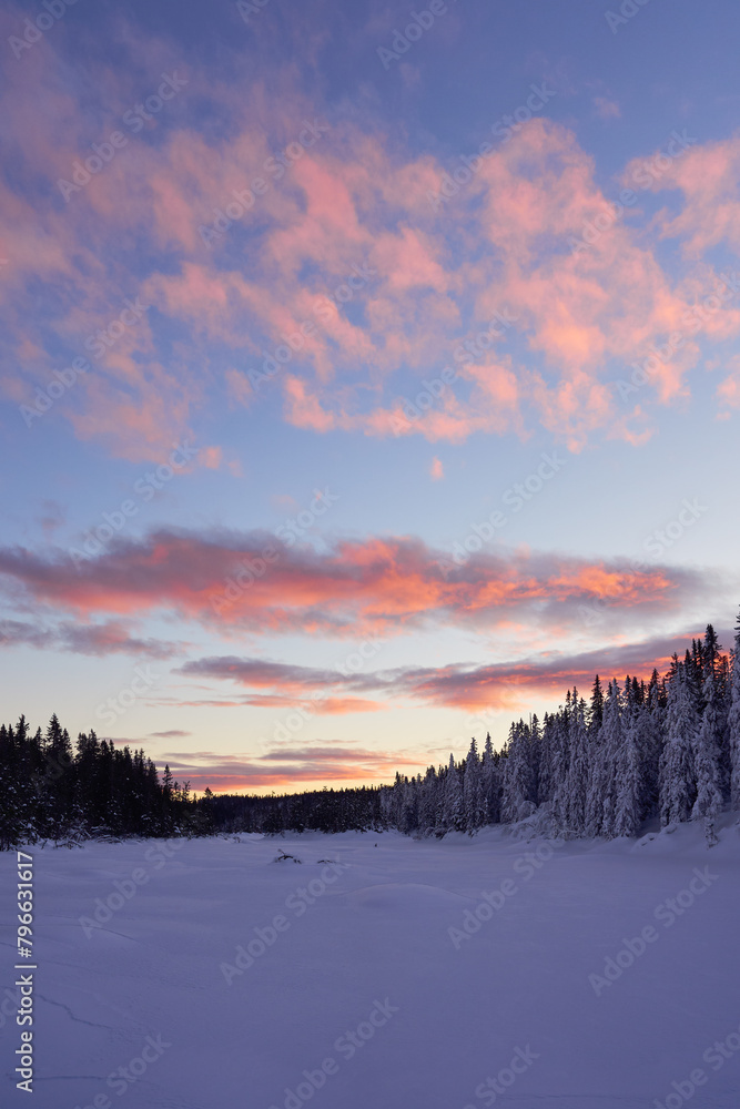 Image from the Alterdalstjernet Lake, part of the Totenaasen Nature Reserve up in the Totenaasen Hills, Norway, in winter. Image from the Alterdalstjernet Lake, part of the Totenaasen Nature Reserve up in the Totenaasen Hills, Norway, in winter.