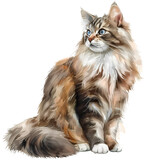 Cat breeder : Norwegian Forest Cat