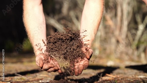 farmer holding soil in hand and pouring soil on ground. connected to the land and environment. soil agronomy in australia. soil heath study. in touch with nature photo