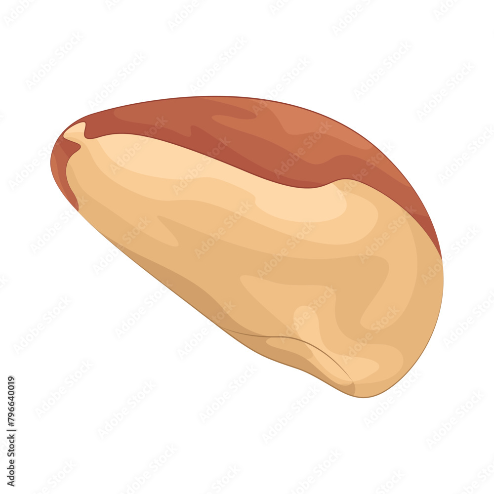 Illustration of bean Illustration of bean