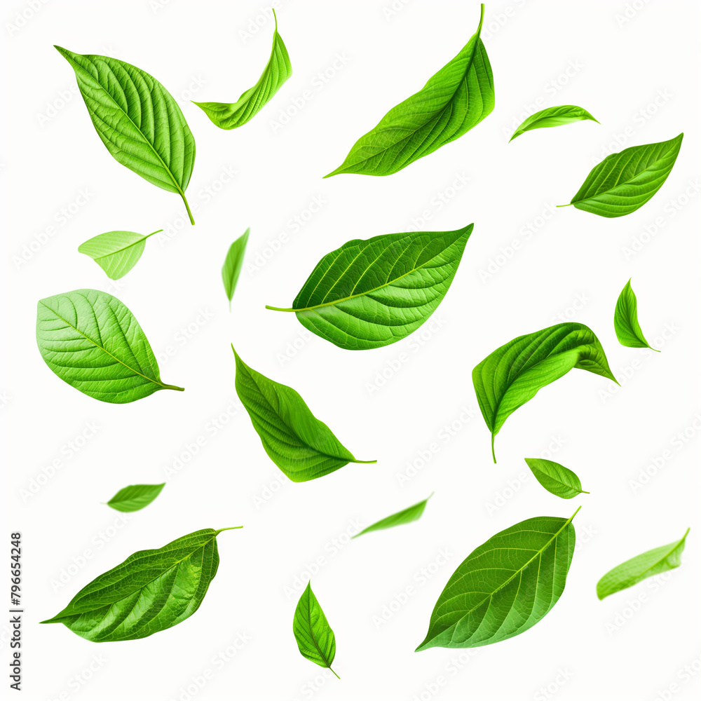 green leaves isolated on white, Flying green leaves isolated on white background with clipping path. stock photo