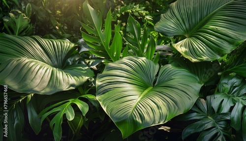 3. "Tropical Tranquility: Leafy Haven" Immerse yourself in the exotic allure of tropical foliage with this captivating nature background. foliage, herb, flora, green