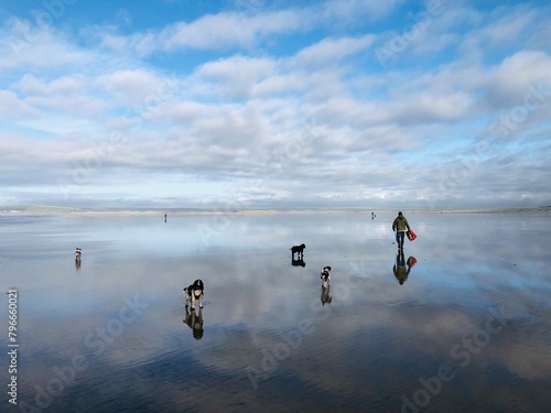 Seascape